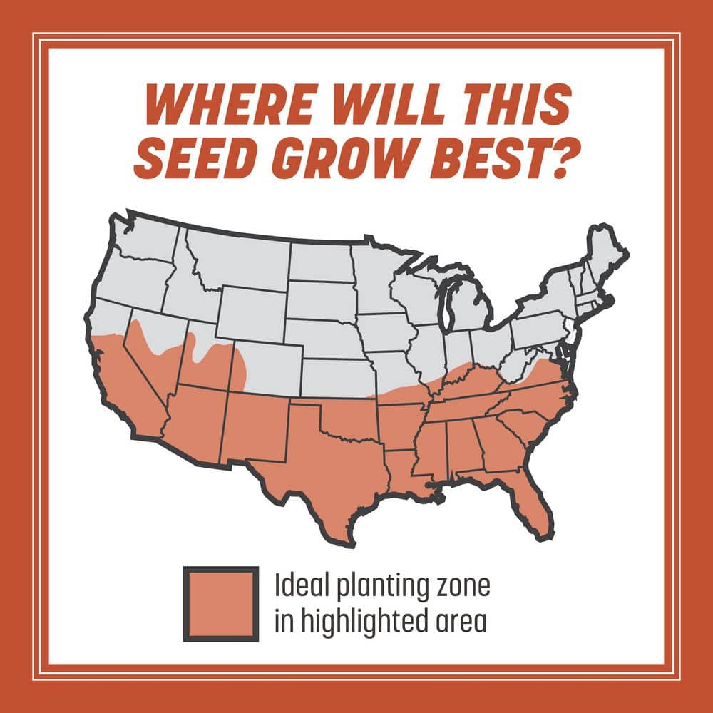 15 lbs. Bermudagrass Grass Seed - Hercitys