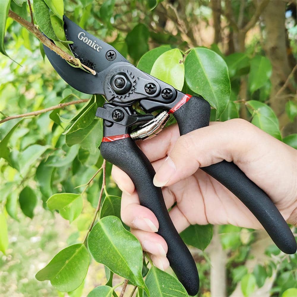 3/4 in. Cutting Capacity, High Carbon Steel Professional Pruning Shears - Hercitys