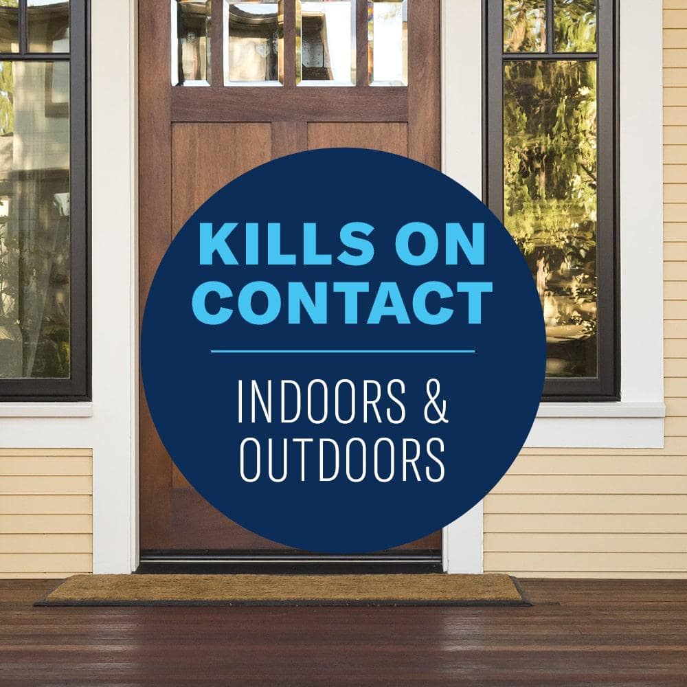 1 Gal. Ready-to-Use Carpenter Ant and Termite Insect Killer Plus - Hercitys