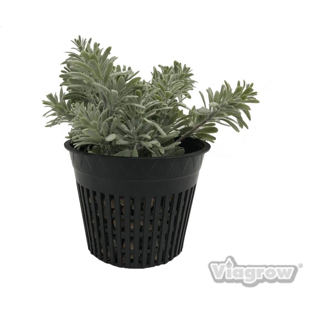 5 in. Black Round Cup with Slotted Black Plastic Mesh Net Pot (25-pack) - Hercitys