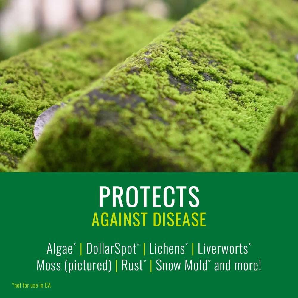 24 oz. Lawn Weed and Diseases Control Ready To Use (2-Pack) - Hercitys