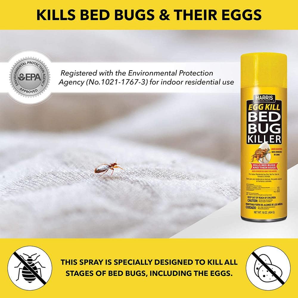 16 oz. Egg Kill Bed Bug Killer (3-Pack) - Hercitys