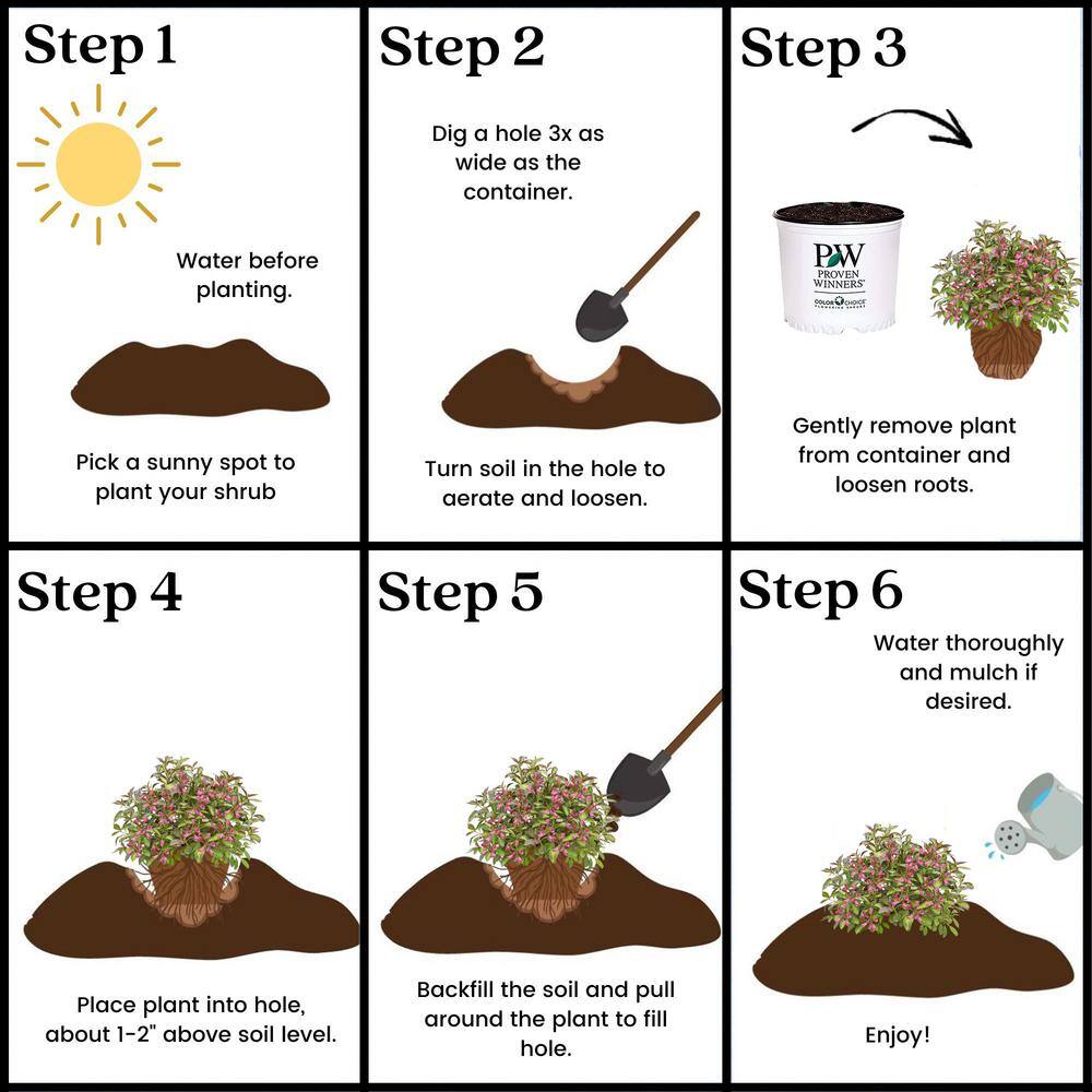 2 Gal. Vingo Verde Weigela Shrub with Pink Blooms - Hercitys