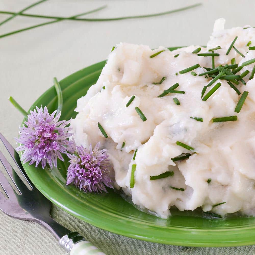 19 oz. Onion Chives Herb Plant (2-Pack) - Hercitys