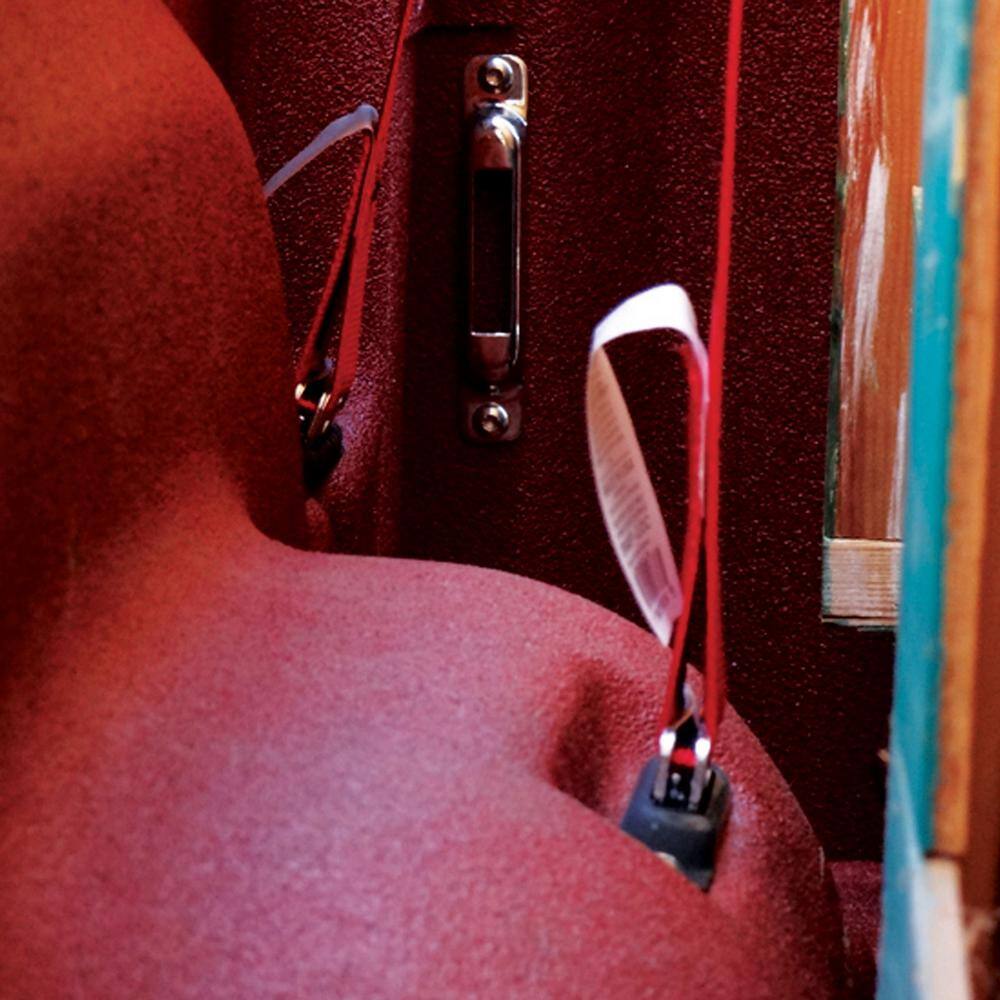 16 ft. x 2 in. Ratchet Strap System with E-Track Singles and Hardware - Hercitys