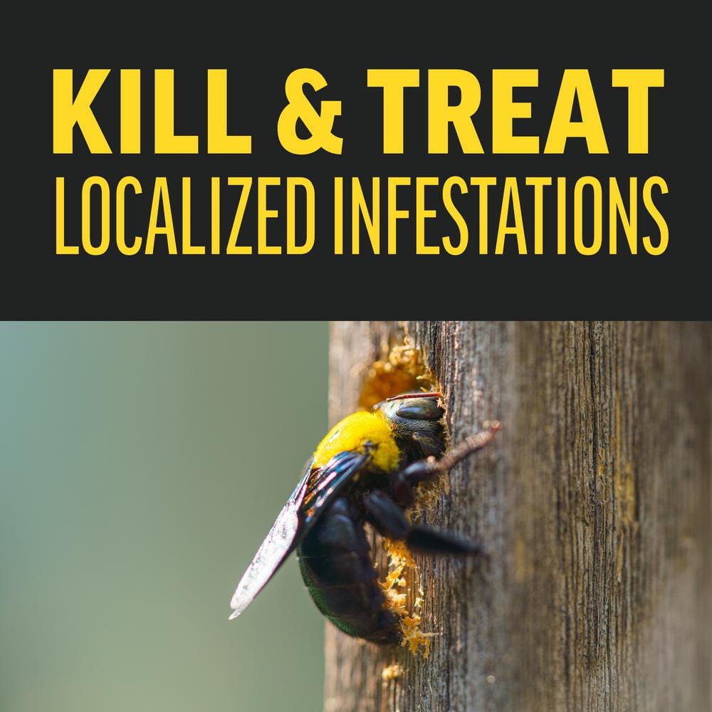 18 oz. Quick Kill Carpenter Bee, Ant, and Termite Killer Foam (2-Pack) - Hercitys