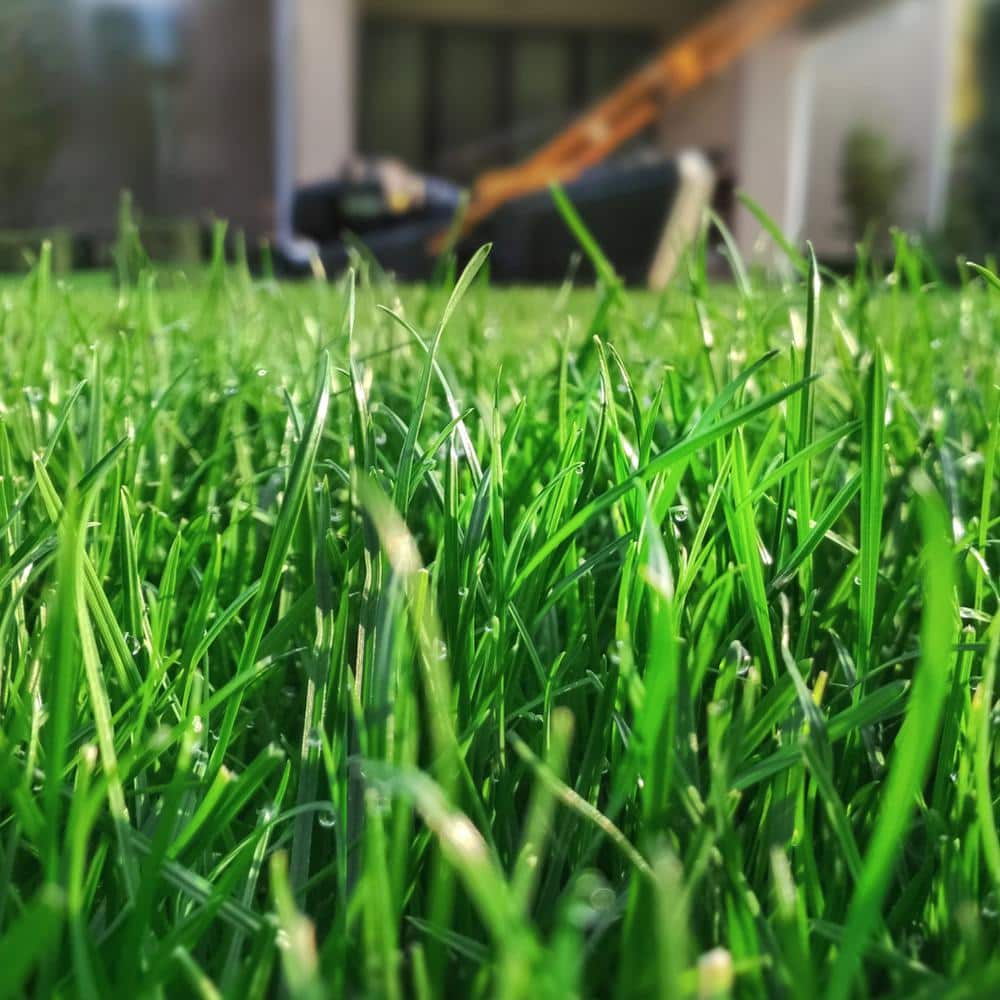 25 lbs. PPZ 0.72G Granular Turf Fungicide, Covers up to 16,000 sq. ft. - Hercitys