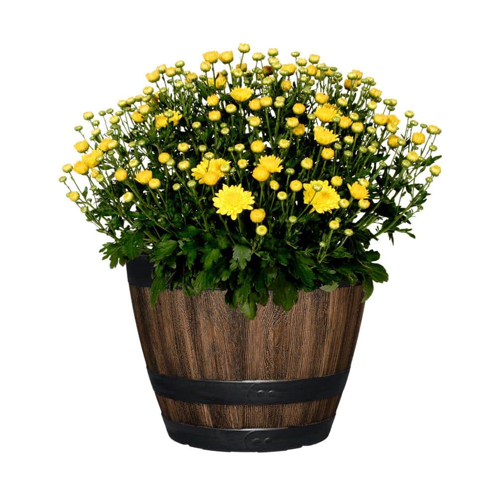 12.8 in. Reedley Medium Kentucky Walnut Brown Resin Barrel Planter (12.8 in. D x 10.5 in. H) - Hercitys