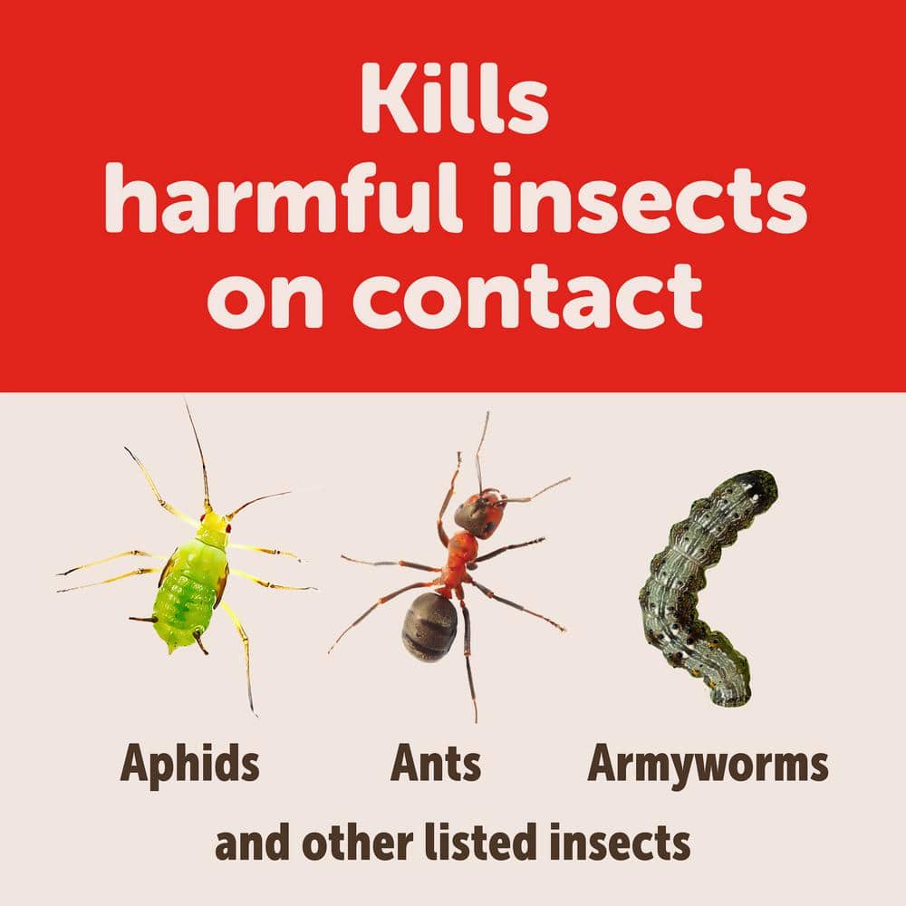 32 oz. Ready to Spray 3-in-1 Flower and Shrub Mite and Disease Control Insect Killer - Hercitys