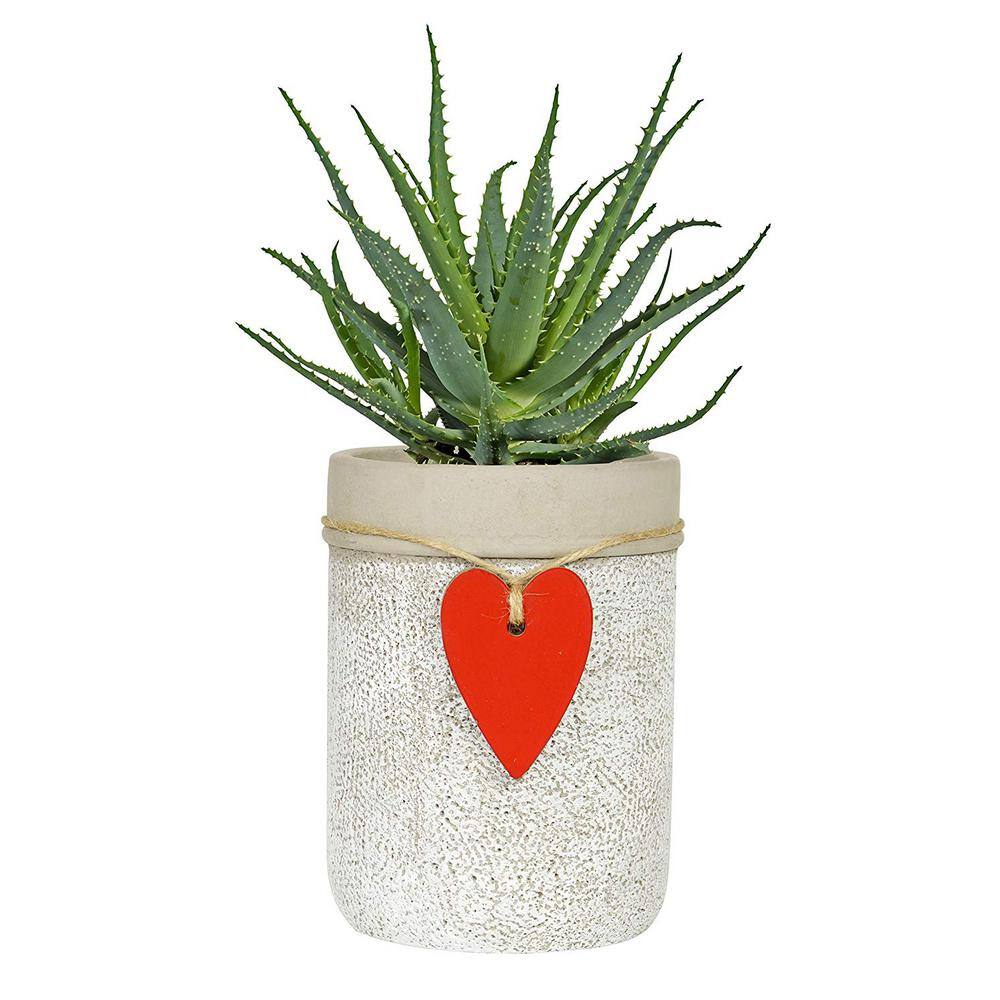 4.75 in. Whitewash Cement Heart Vase Planter - Hercitys