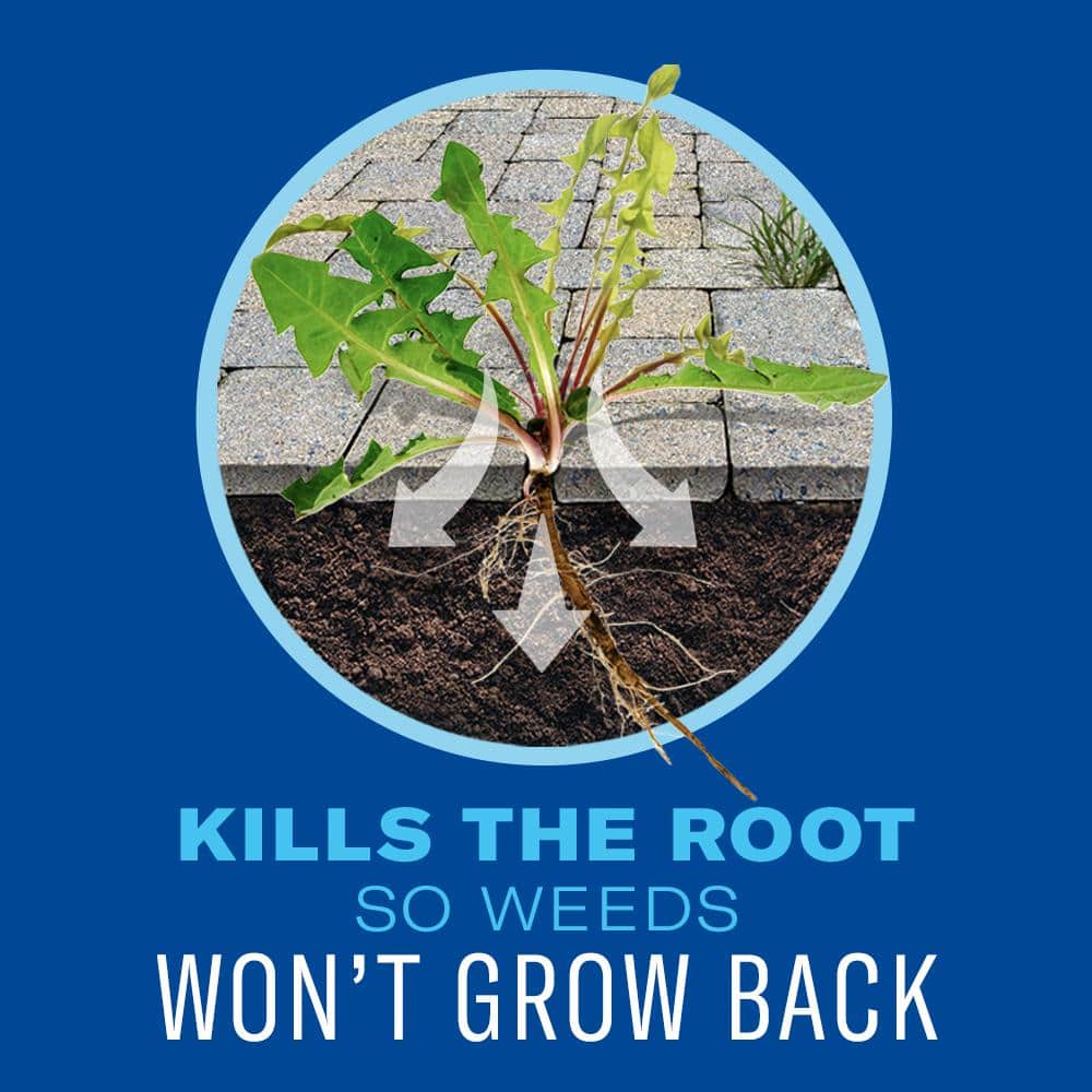 28 oz. Concentrate 365 Weed & Grass Killer - Hercitys