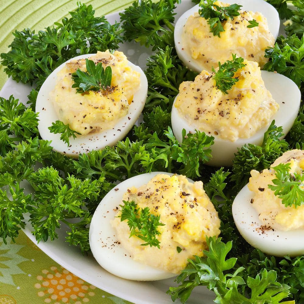 19 oz. Curled Parsley Herb Plant (2-Pack) - Hercitys