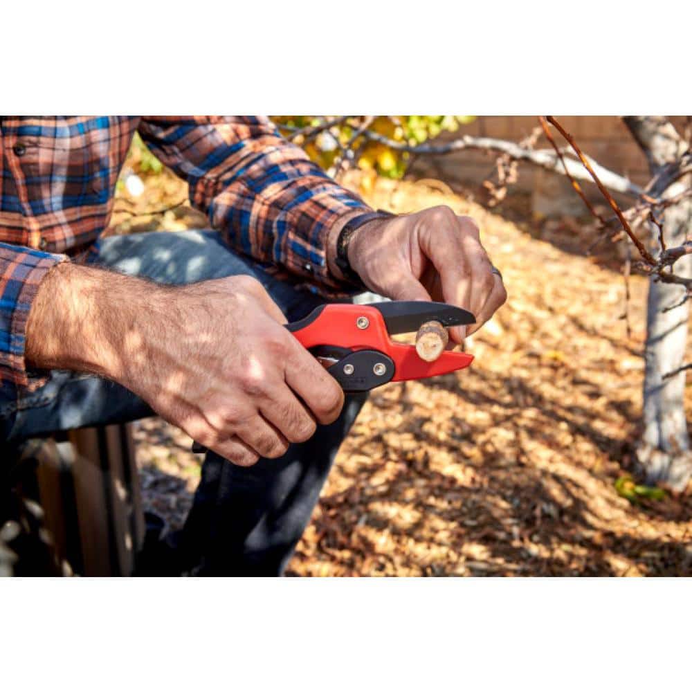 2.625 in. High Carbon Steel Blade with Co-Molded Non-Slip Handles Ratchet Hand Pruner - Hercitys