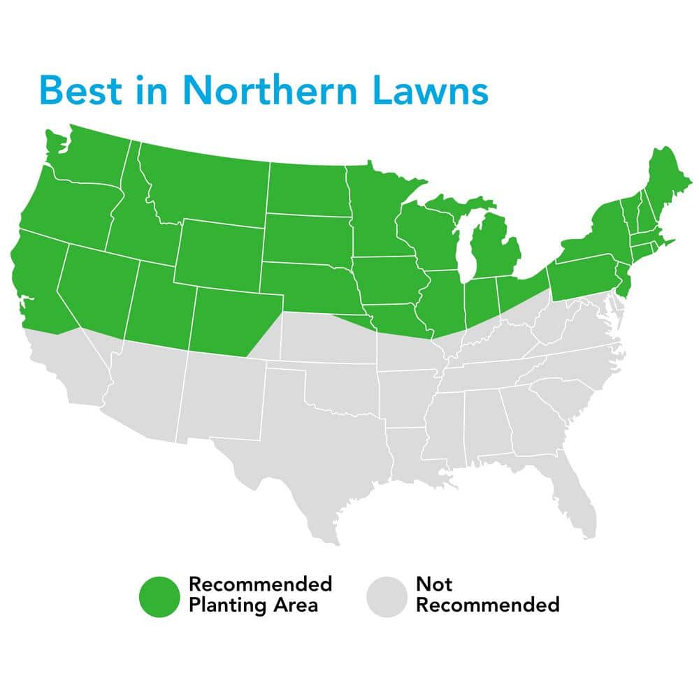 25 lbs. 8,300 sq. ft. Turf Sense Sun and Shade Mix Grass Seed - Hercitys