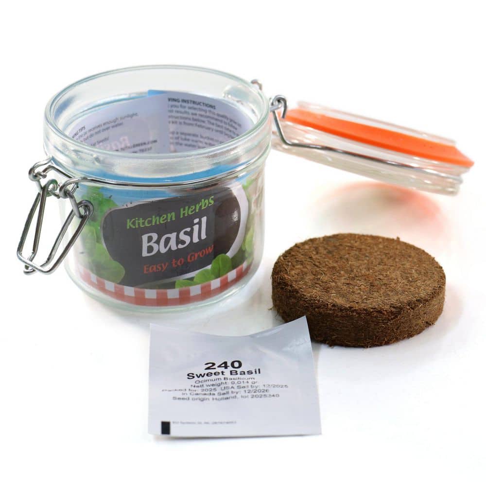 3.3 in. Basil Culinary Kitchen Herb Seed Grow Kit - Hercitys