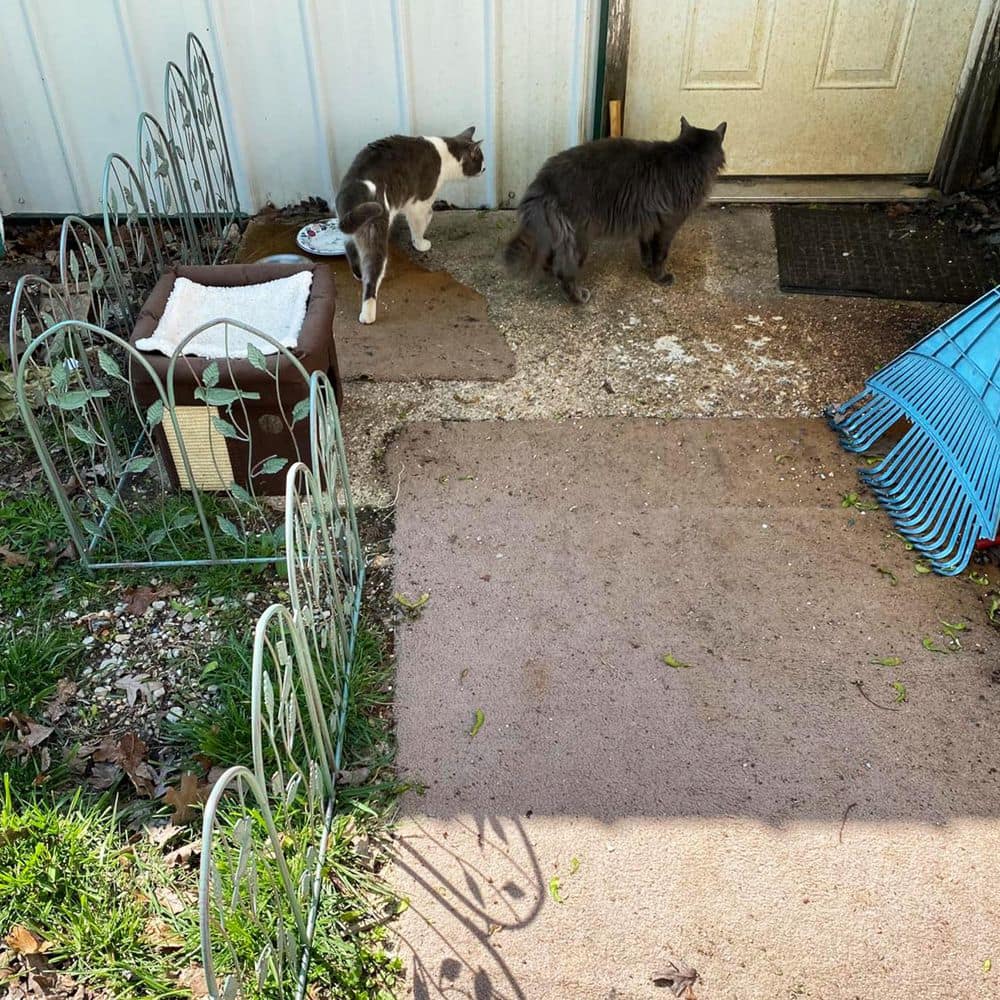 23 in. x 20 in. Vintage Metal Arched Decorative Garden Fence Panels Patio Landscape Pathway Edge Border (6-Pack) - Hercitys