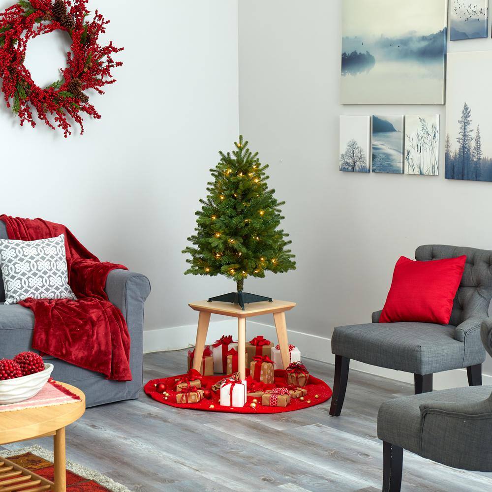 3 ft. Pre-Lit Washington Fir Artificial Christmas Tree with 50 Clear Lights - Hercitys