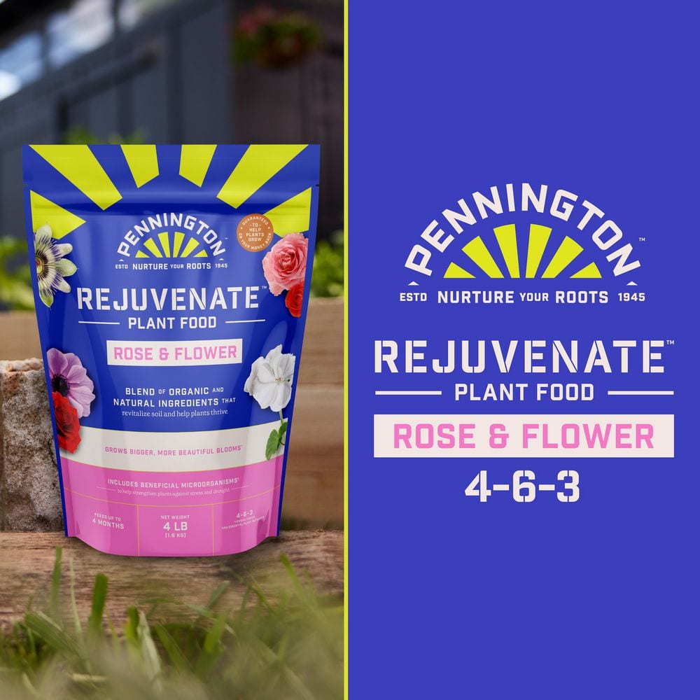 4 lbs. Rejuvenate Rose and Flower Plant Food 4-6-3 - Hercitys