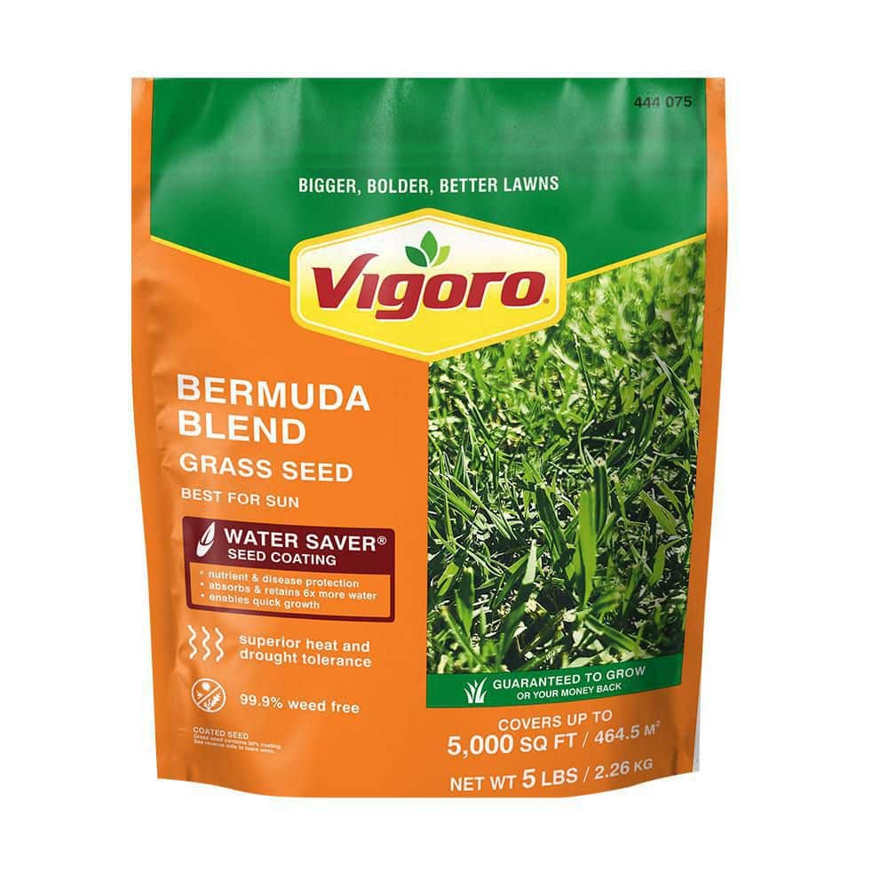 5 lbs. Bermuda Grass Seed Blend with Water Saver Seed Coating - Hercitys