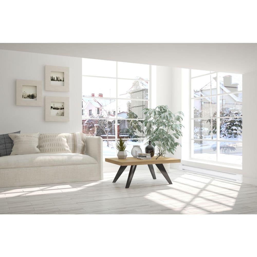 48 in. 240/208-Volt 1000/750-Watt Electric Baseboard Heater in White - Hercitys