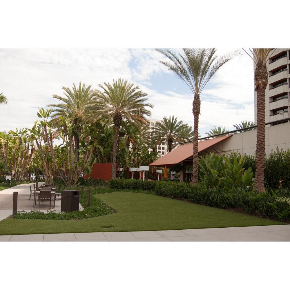 3D-W Premium 65 Fescue 15 ft. Wide x Cut to Length Green Artificial Grass Carpet - Hercitys