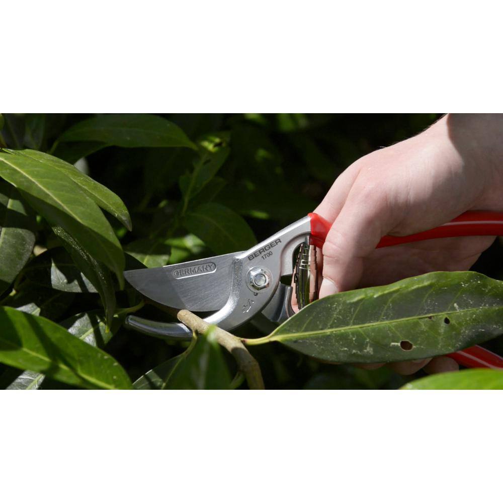 10 in. Pruning Hand Shear - Hercitys