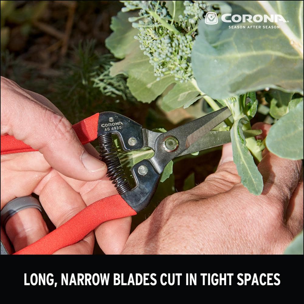 1.75 in. Tempered Steel Long Straight Snips - Hercitys