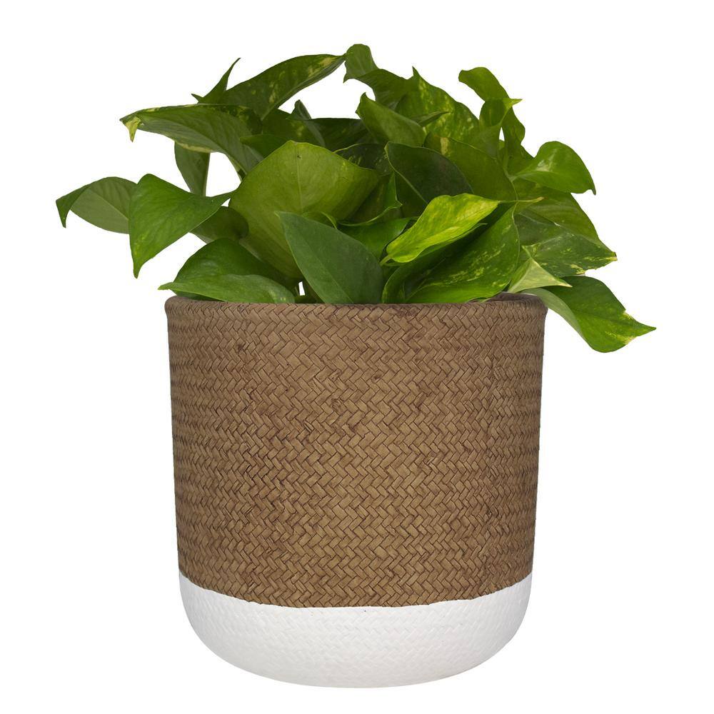 10 in. White and Natural Reed Round Cement Planter - Hercitys