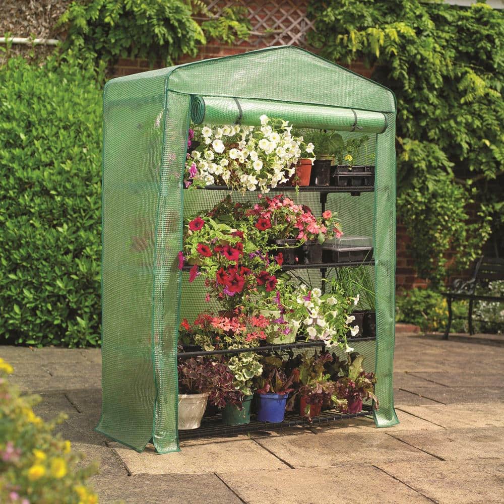 5 ft. 3 in. H x 3 ft. 11 in. W x 19 in. D 4-Tier Extra-Wide Mini Greenhouse - Hercitys