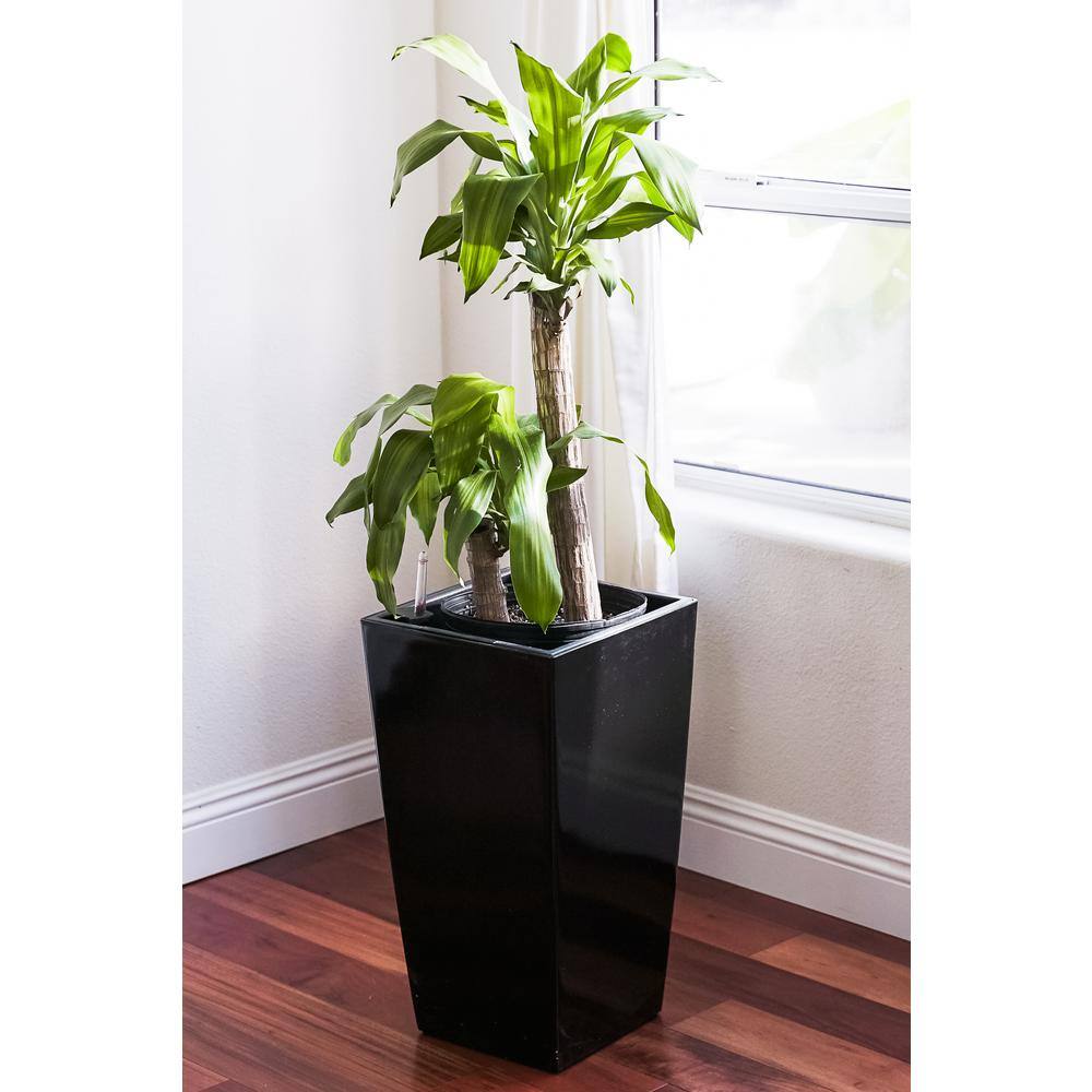 22.4 in. H Black Plastic Self Watering Indoor Outdoor Square Planter Pot, Tall Decorative Gardening Pot, Home Decor - Hercitys