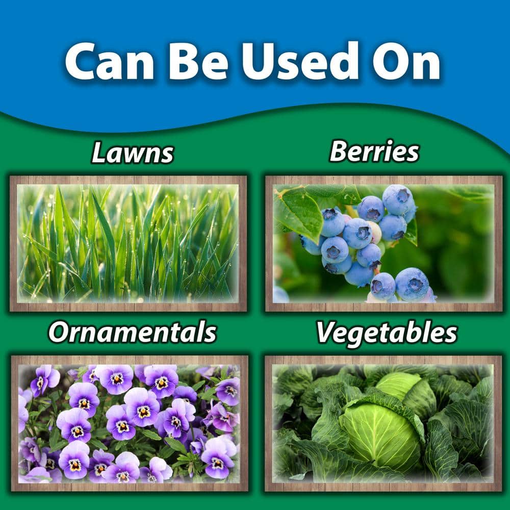 1 lb. Sluggo - Hercitys