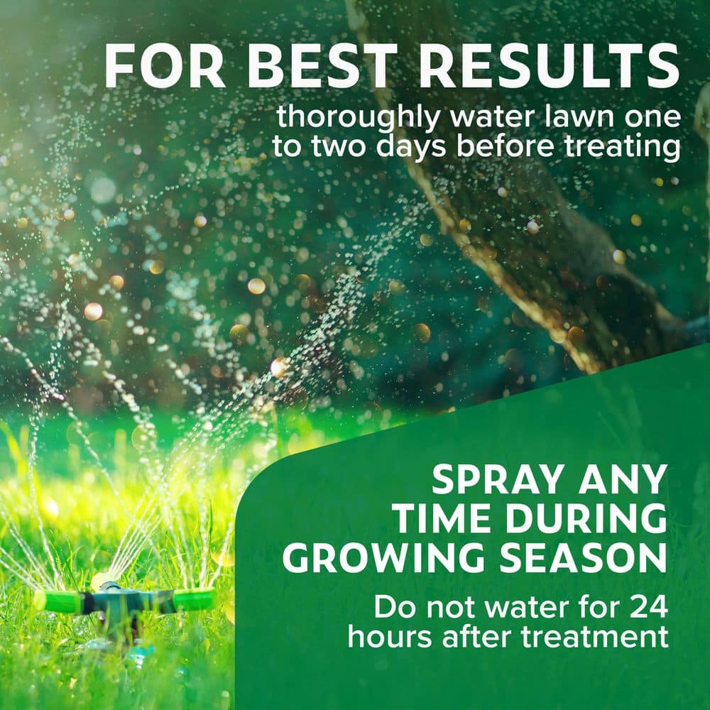 32 oz. 7,500 sq. ft. Spring Ready-to-Spray Concentrate Weed and Feed Lawn Fertilizer - Hercitys