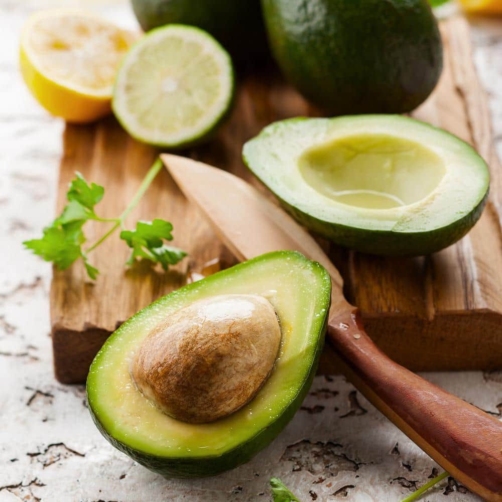 #5 Container  Bacon Avocado Evergreen Tree - Hercitys