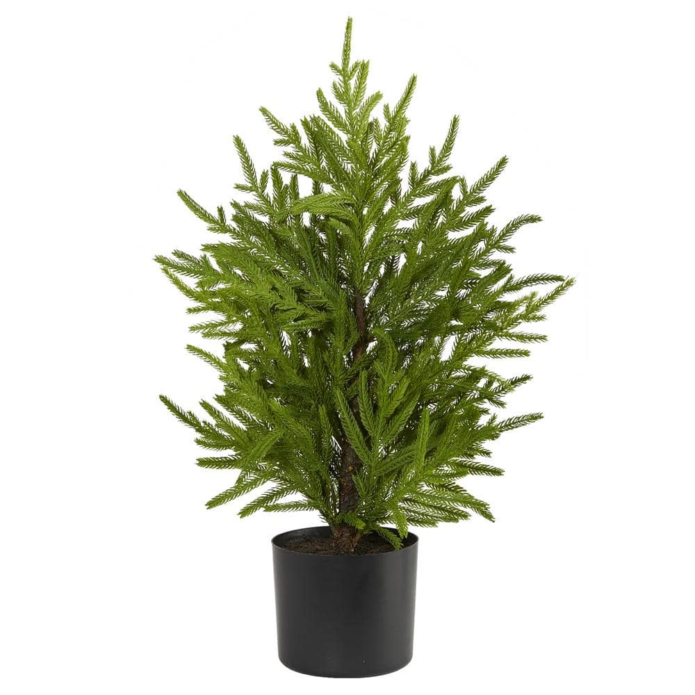 2 ft. Norfolk Island Pine Natural Look Artificial Tree in Decorative Planter - Hercitys
