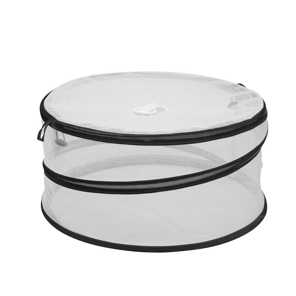 2-Piece Set Pop-Up Food Cover - Hercitys