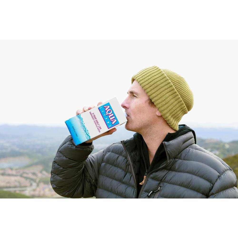 1L. Aqua Liters (12-Pack) - Hercitys
