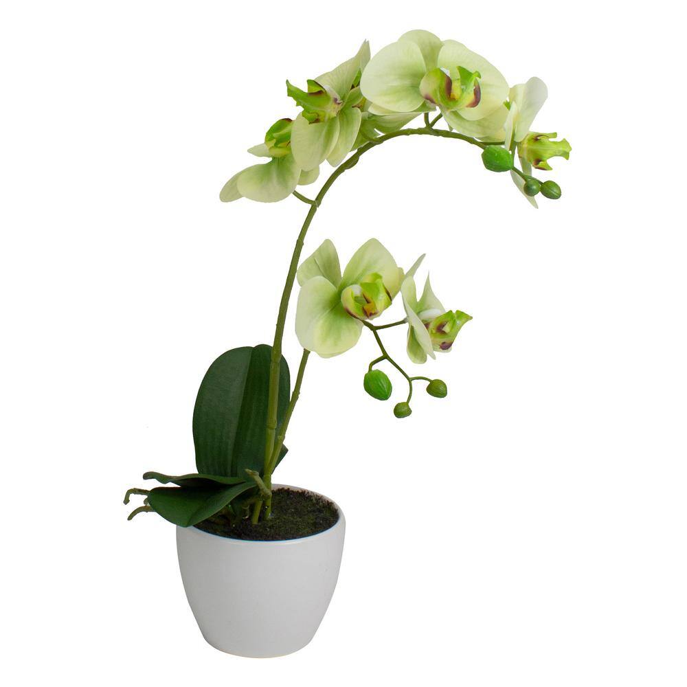 14 in. Ivory Green and White Artificial Orchid Potted Plant Tabletop Decor - Hercitys