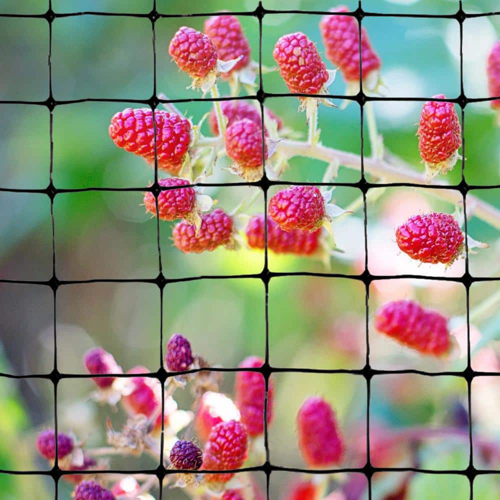 100 ft. x 14 ft. Standard Bird Netting - Hercitys