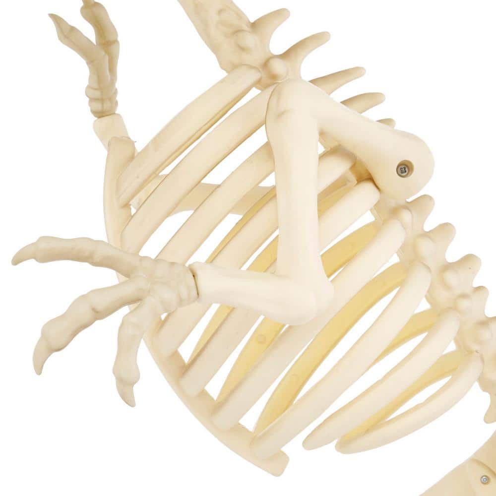 34 in. Animated T-Rex with LED Eyes - Hercitys