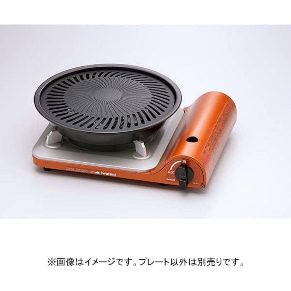 10.8 in. Die-Cast Alloy Steel BBQ Grill Pan-Healthy Cooking-Easy Clean-9.8 in. Plate Diameter - Hercitys