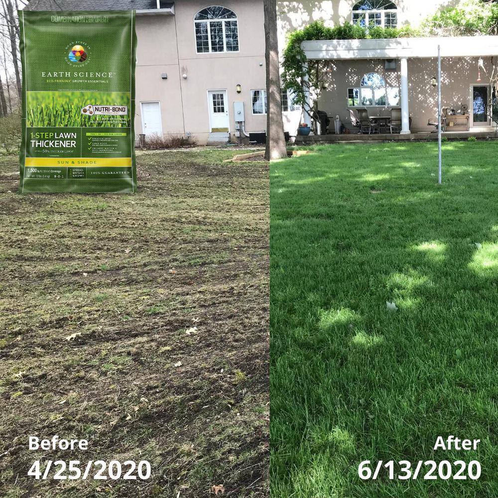 12 lbs. 1-Step Lawn Thickener All-In-One Grass Seed and Fertilizer Sun and Shade Overseeding Mix - Hercitys