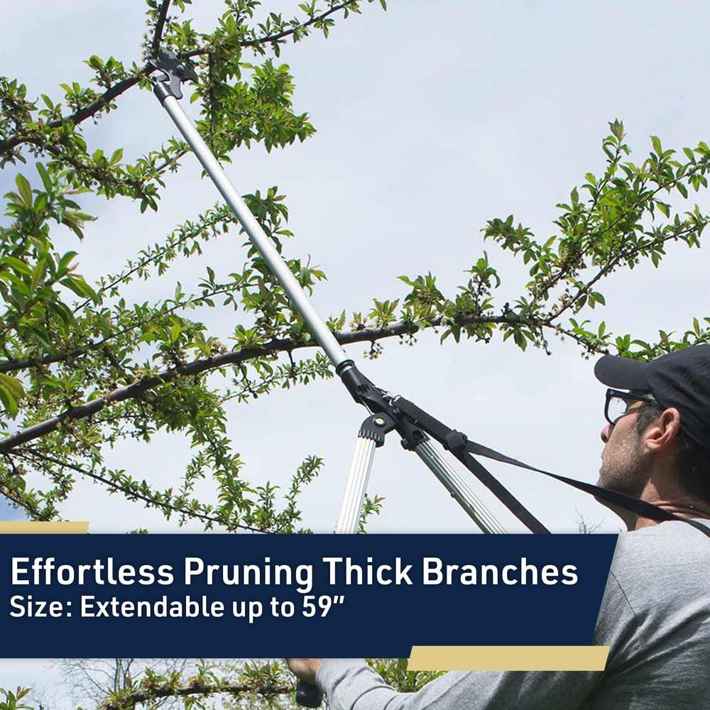 59 in. Long Reach Pruner with Rotating Head and Sharp Bypass Loppers-Tree Trimmer Pruning Shears - Hercitys