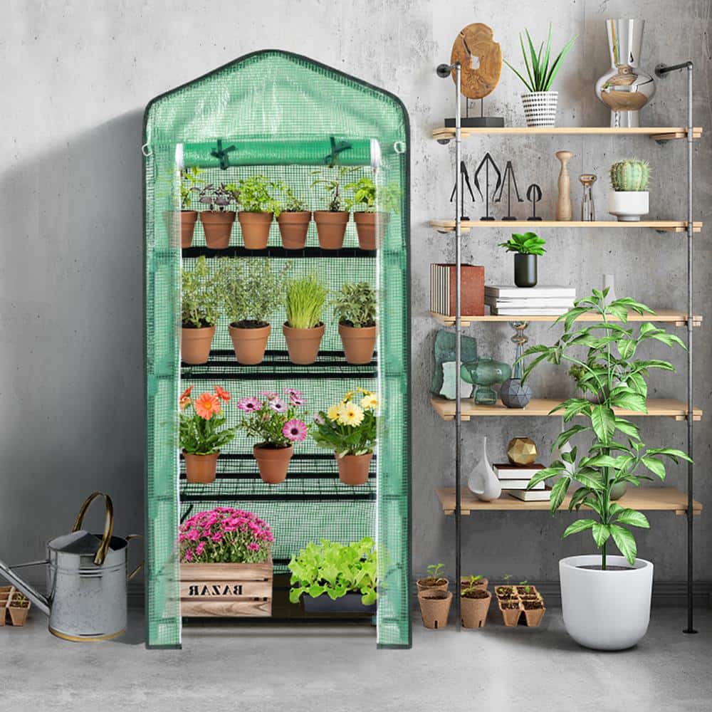 27 in. x 19 in. x 63 in. Greenhouse - Hercitys