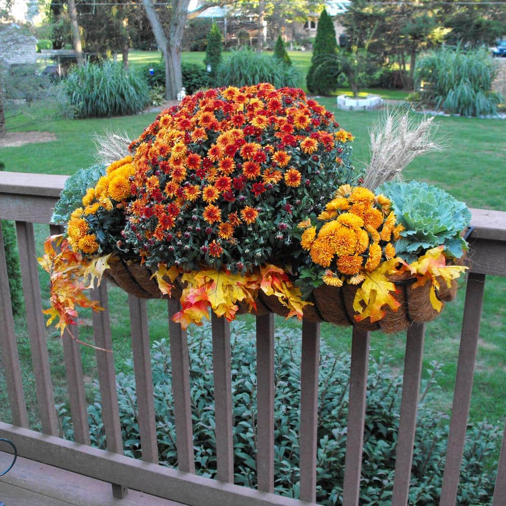 36.00 in. x 9.50 in. Black Steel Window Boxes & Troughs - Hercitys