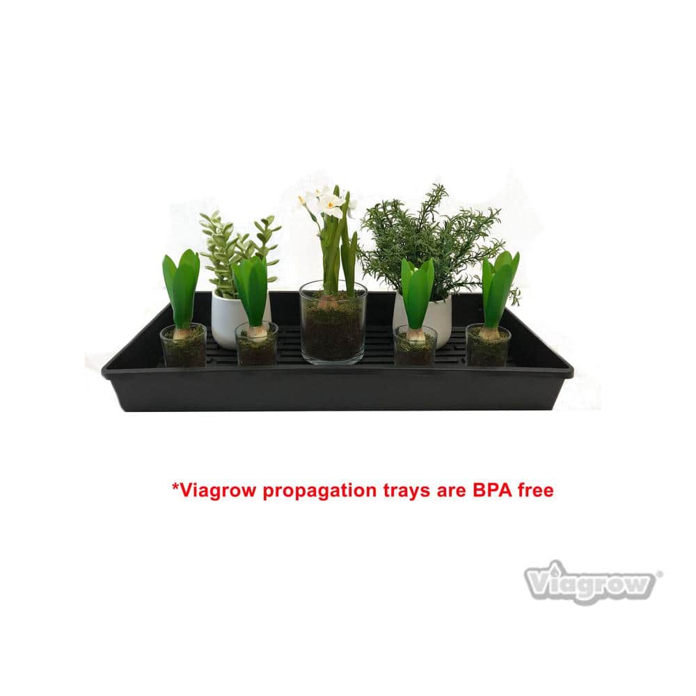 10 in. x 20 in. Extra-Strength Quad Seed Starter Propagation Tray - Hercitys