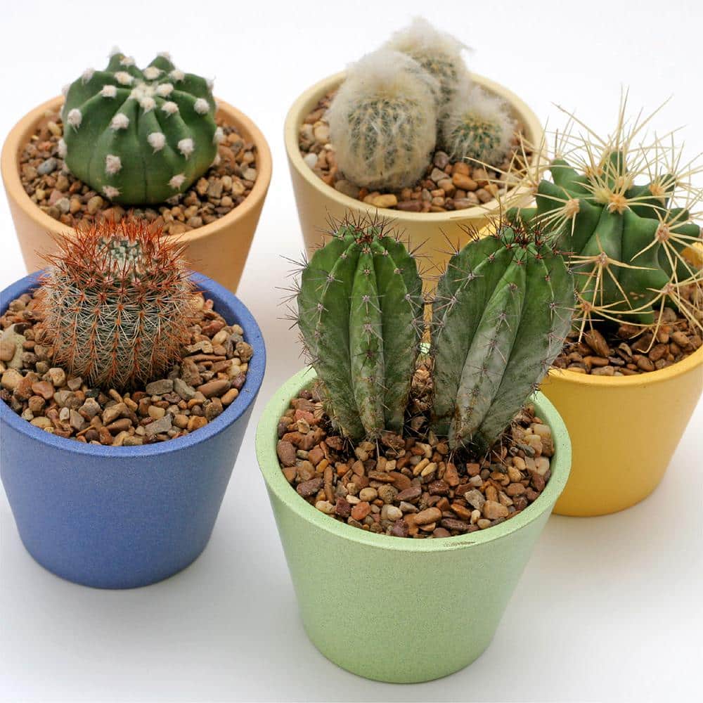 0.25 cu. ft. 3/8 in. Del Rio Bagged Landscape Rock and Pebble for Gardening, Landscaping, Driveways and Walkways - Hercitys