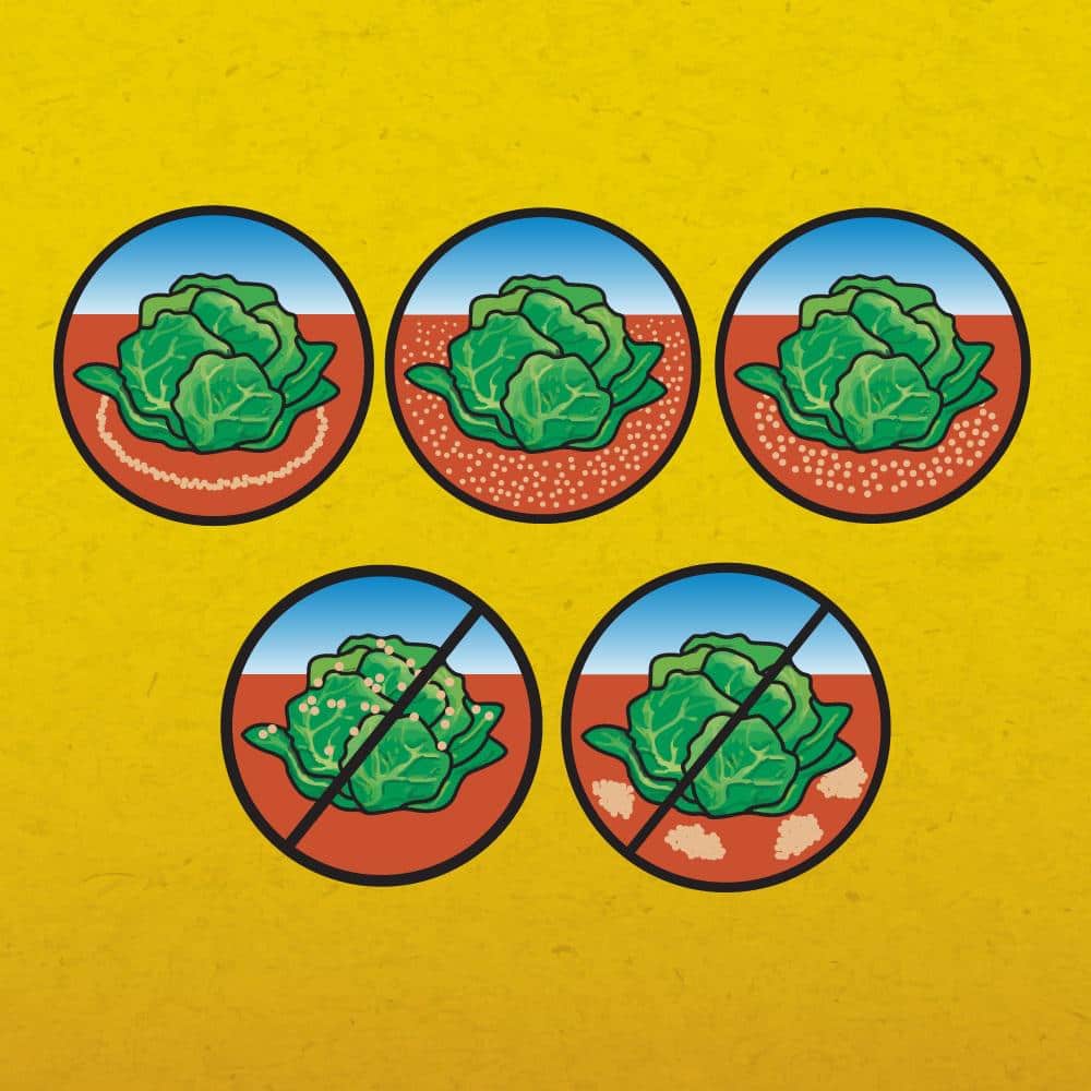 1.75 lbs. Slug and Snail Killer (2-Pack) - Hercitys