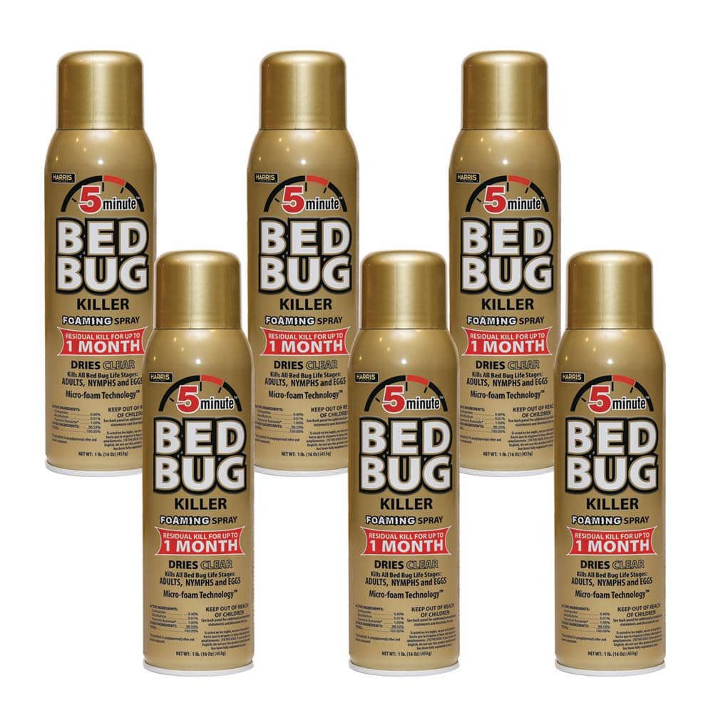 16 oz. 5-Minute Bed Bug Killer Foaming Spray/Kills All Life Stages (6-Pack) - Hercitys