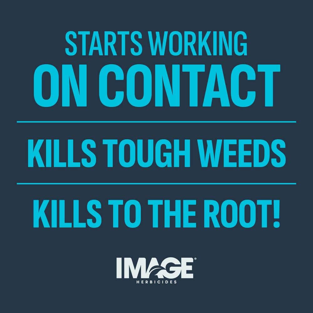 24 oz. 6,000 sq. ft. Crabgrass, Nutsedge and Weed Killer Ready to Spray - Hercitys