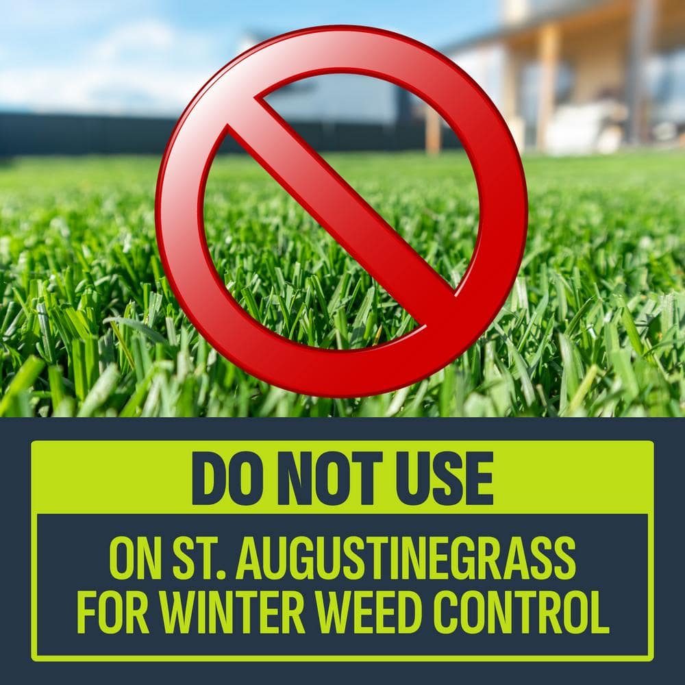 32 oz. 8,000 sq. ft. Nutsedge Weed Killer Ready-To-Spray - Hercitys